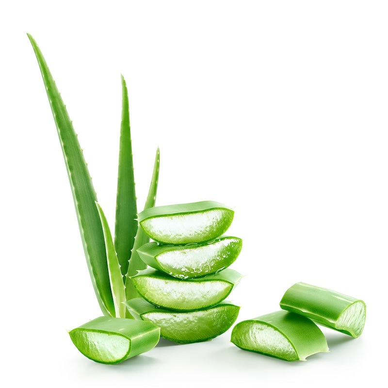 Aloe Vera in CBD and Magnesium Cream for Muscle and Joint Pain