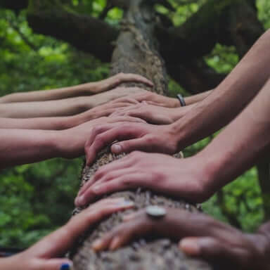 Vision of Community and nature. Multiple pairs of hands on a tree in Colorado where Function Botanicals Full Spectrum, organic CBD products are grown and produced.